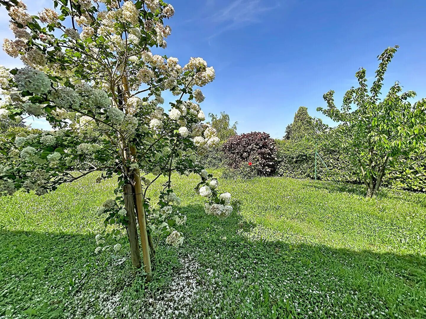 Maison à vendre, 101m², Auzielle