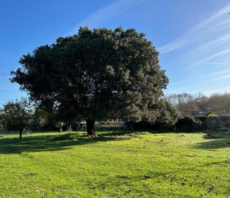 Maison à vendre, 290m², Pont-l'Abbé-d'Arnoult