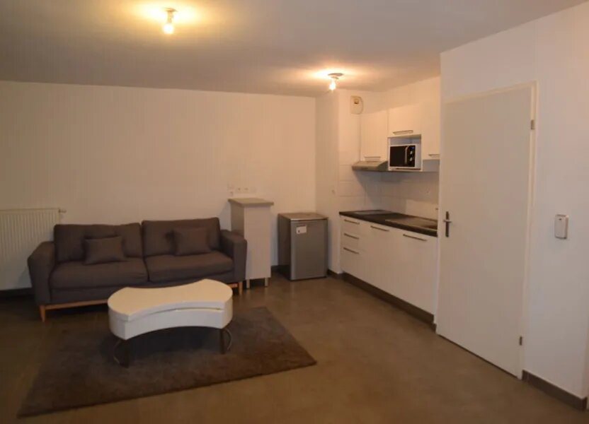 Appartement à louer, 43m², Gex