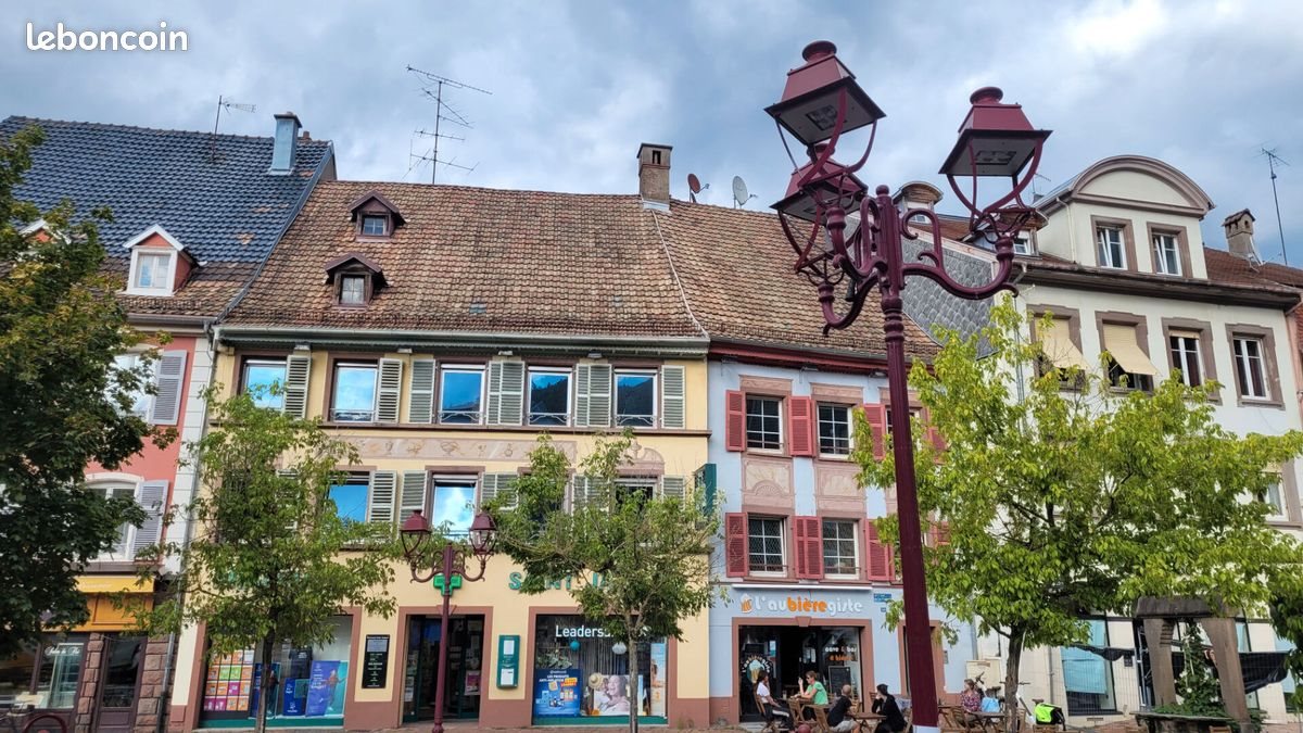 Appartement à vendre, 173m², Thann