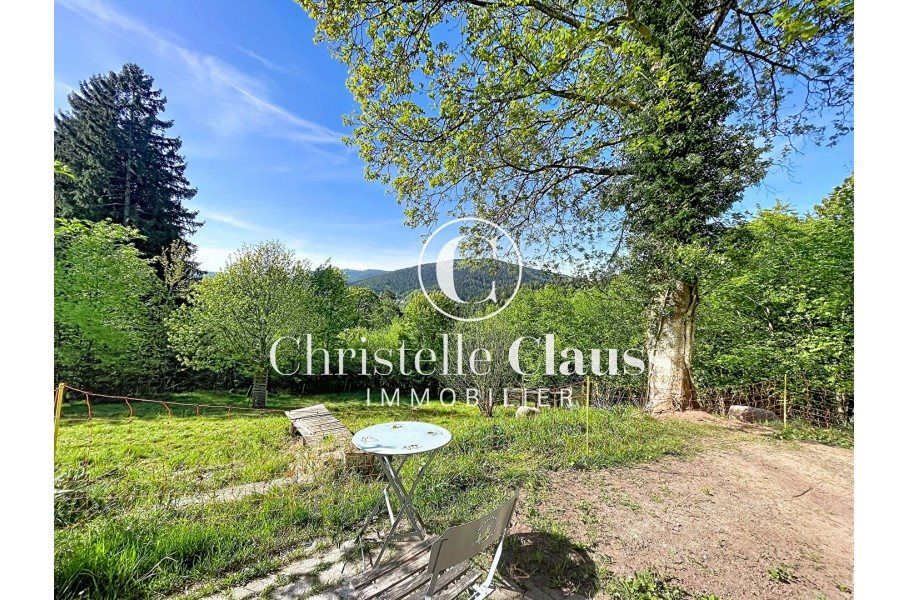 Maison à vendre, 204m², Wangenbourg-Engenthal