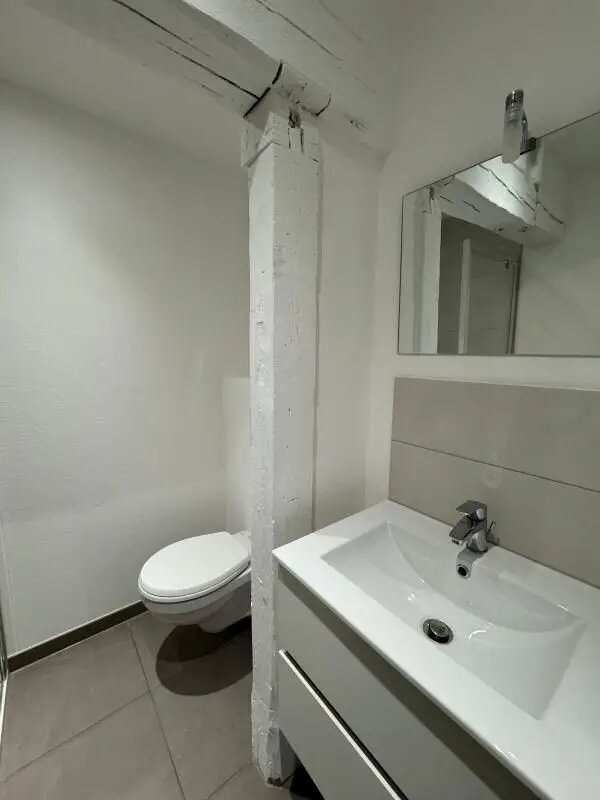 Appartement à louer, 19m², Colmar