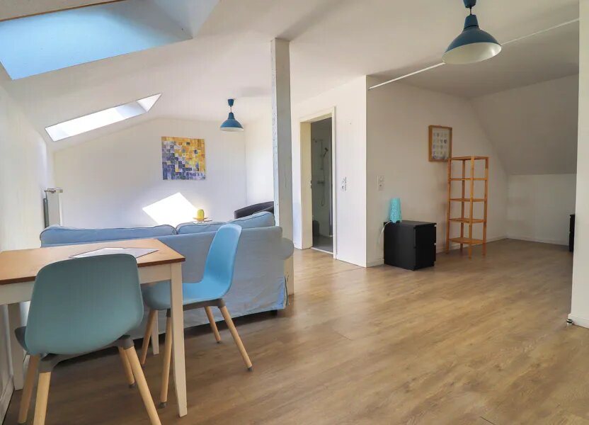 Appartement à vendre, 48m², Colmar