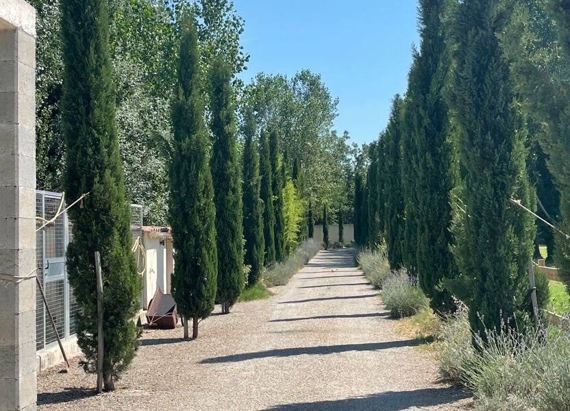Maison à vendre, 300m², Bédarrides