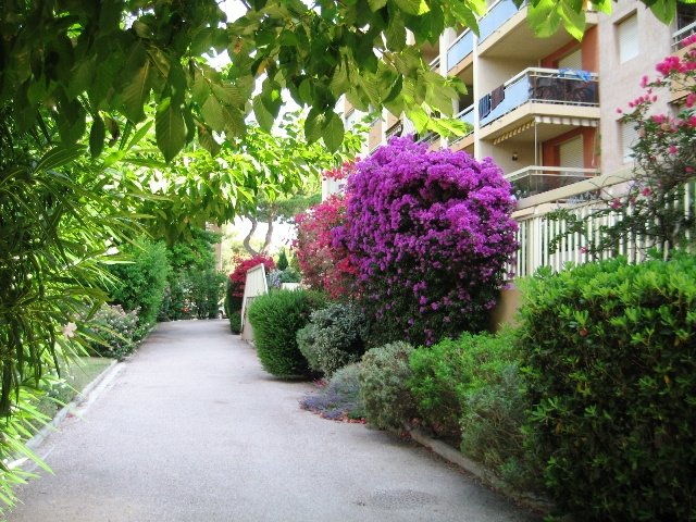 Appartement à louer, 22m², Hyères