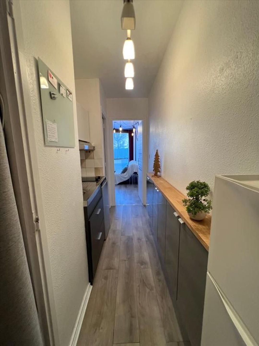 Appartement à vendre, 21m², Saint-Nizier-du-Moucherotte
