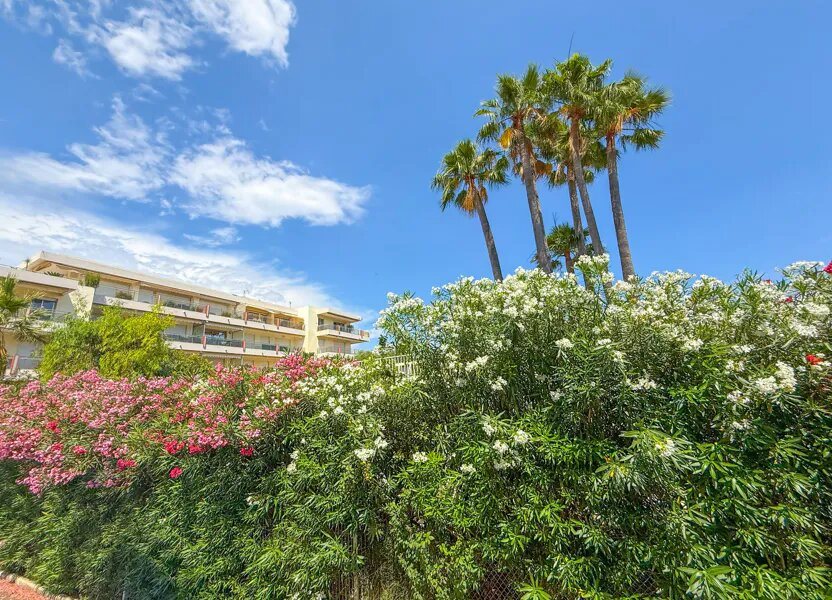 Appartement à louer, 28m², Saint-Laurent-du-Var