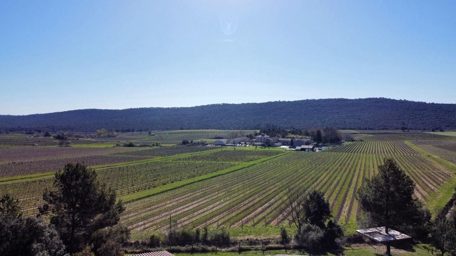 Maison à vendre, 176m², Valflaunès