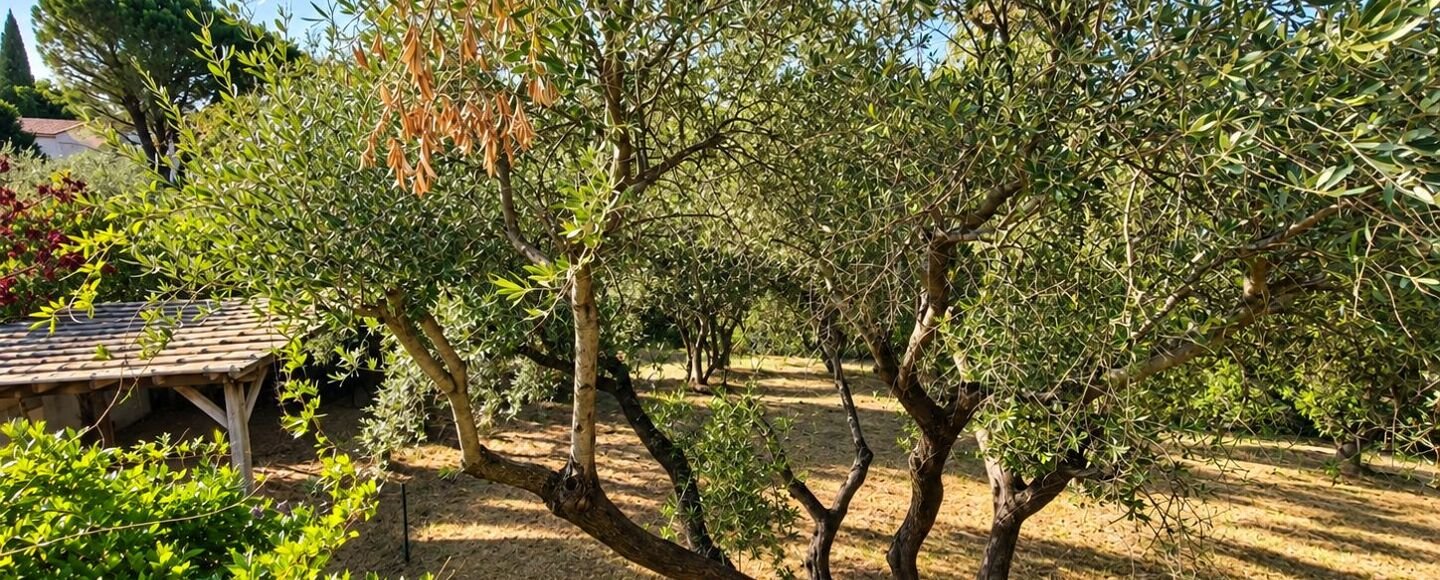 Maison à vendre, 171m², Nîmes