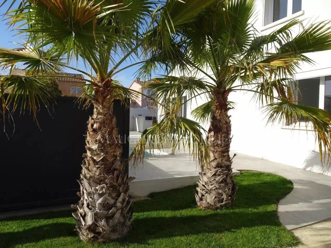 Maison à louer, 172m², Mauguio
