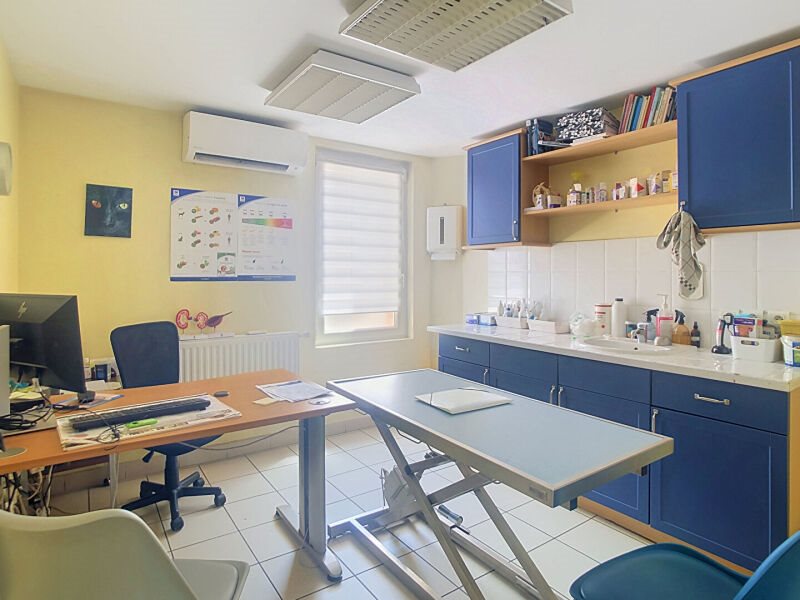 Maison à vendre, 216m², Balma