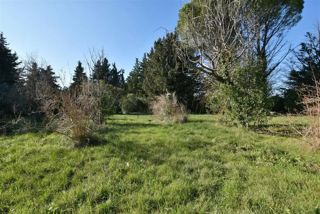 Maison à vendre, 272m², Saint-Côme-et-Maruéjols