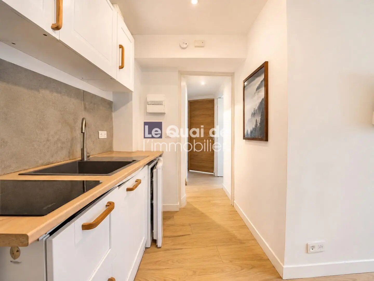 Appartement à vendre, 26m², Duingt