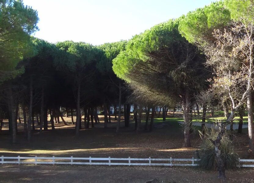 Appartement à louer, 34m², La Grande-Motte