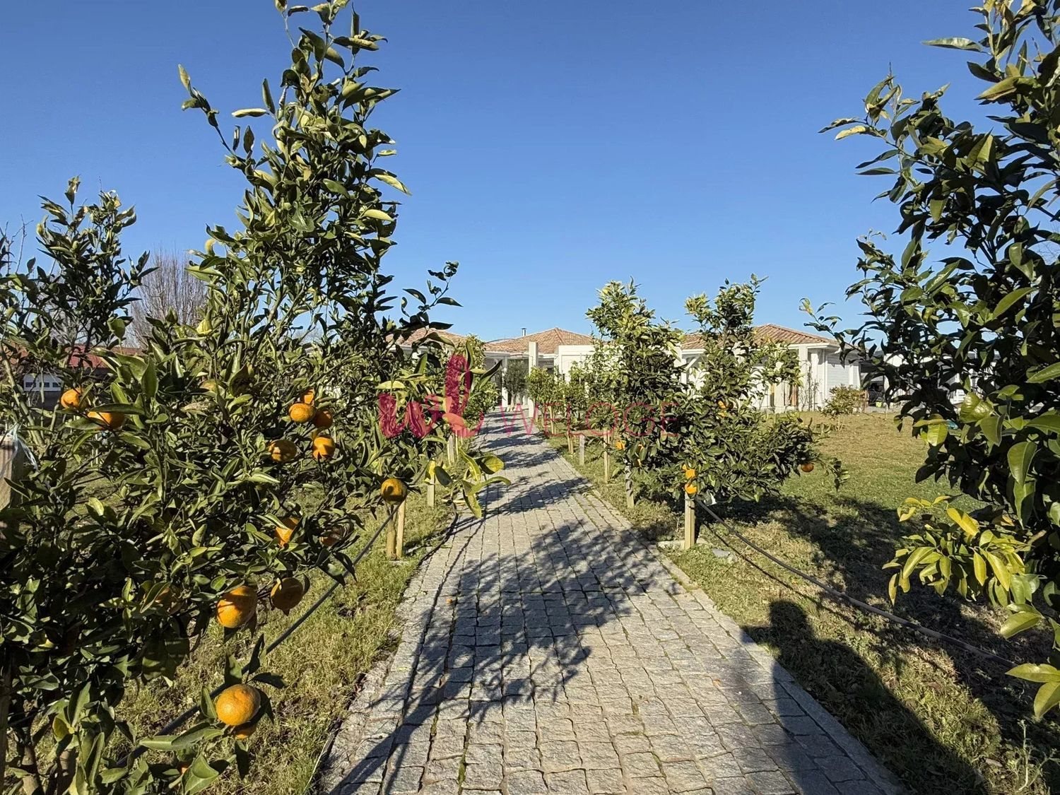 Maison à vendre, 185m², Heugas
