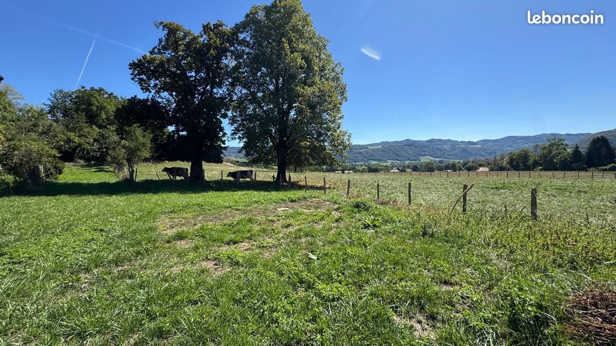 Maison à vendre, 270m², Saint-Geoire-en-Valdaine