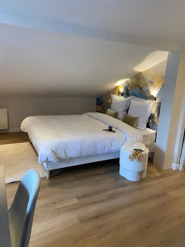 Appartement à louer, 30m², Saint-Etienne