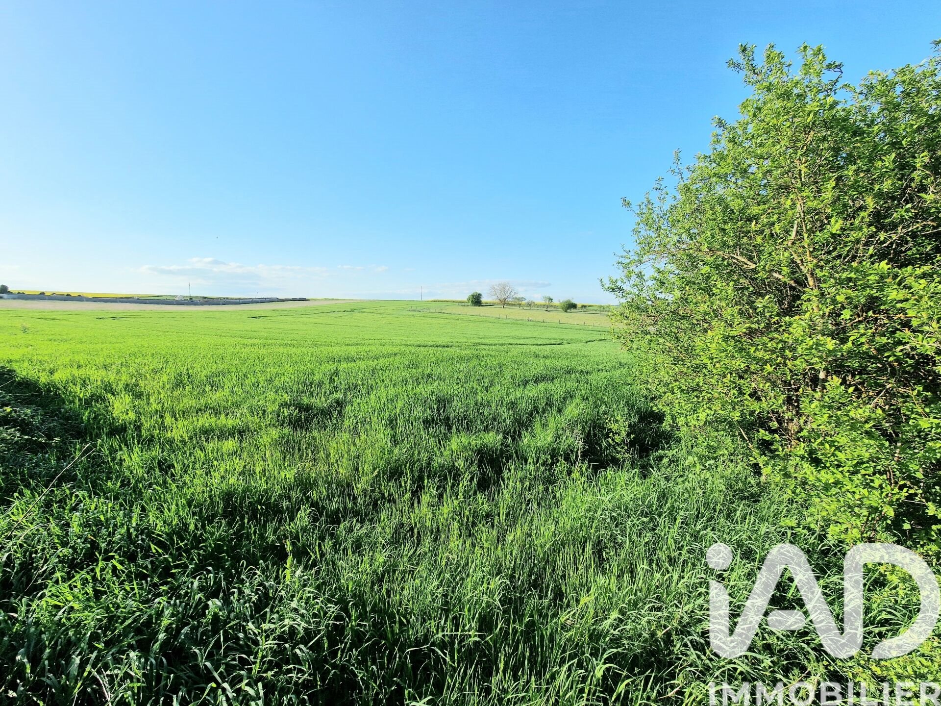 Maison à vendre, 140m², Chamvres