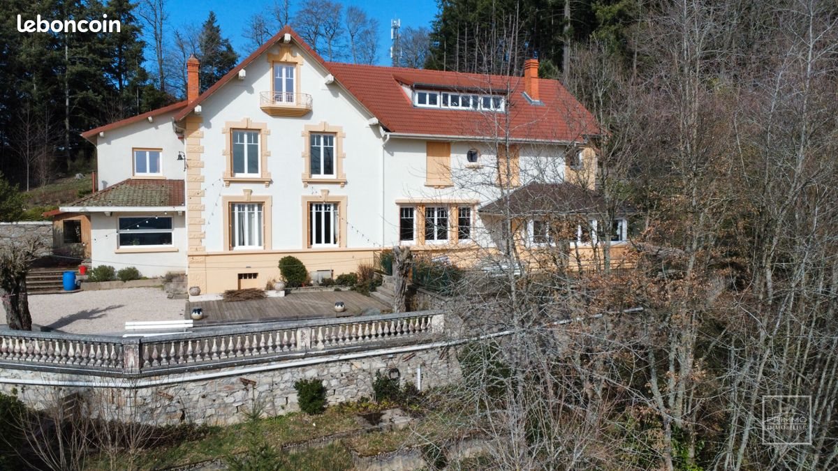 Maison à vendre, 431m², Saint-Clément-sur-Valsonne