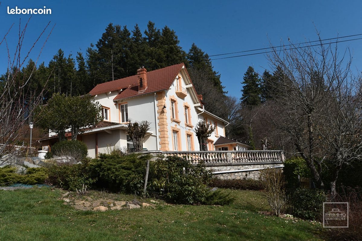 Maison à vendre, 431m², Saint-Clément-sur-Valsonne