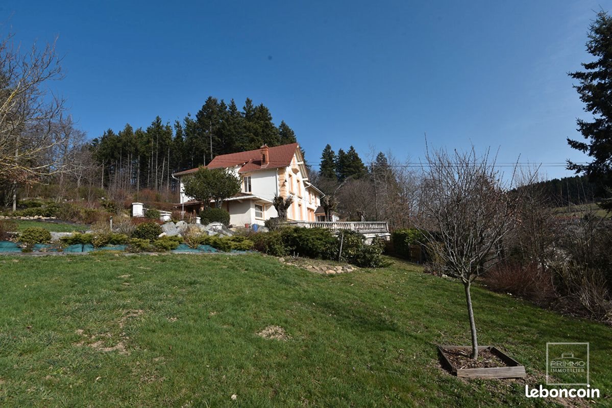Maison à vendre, 431m², Saint-Clément-sur-Valsonne