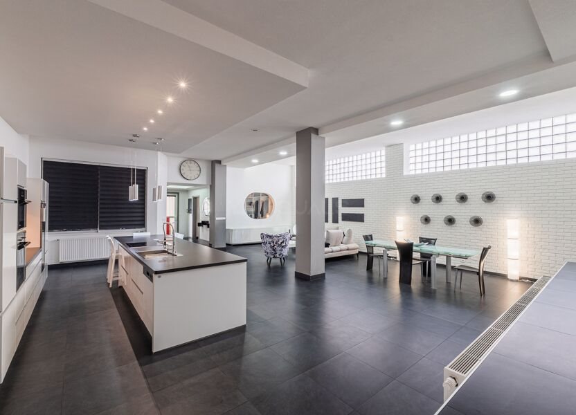 Appartement à vendre, 164m², Schiltigheim