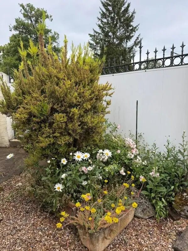 Appartement à vendre, 45m², Nevers