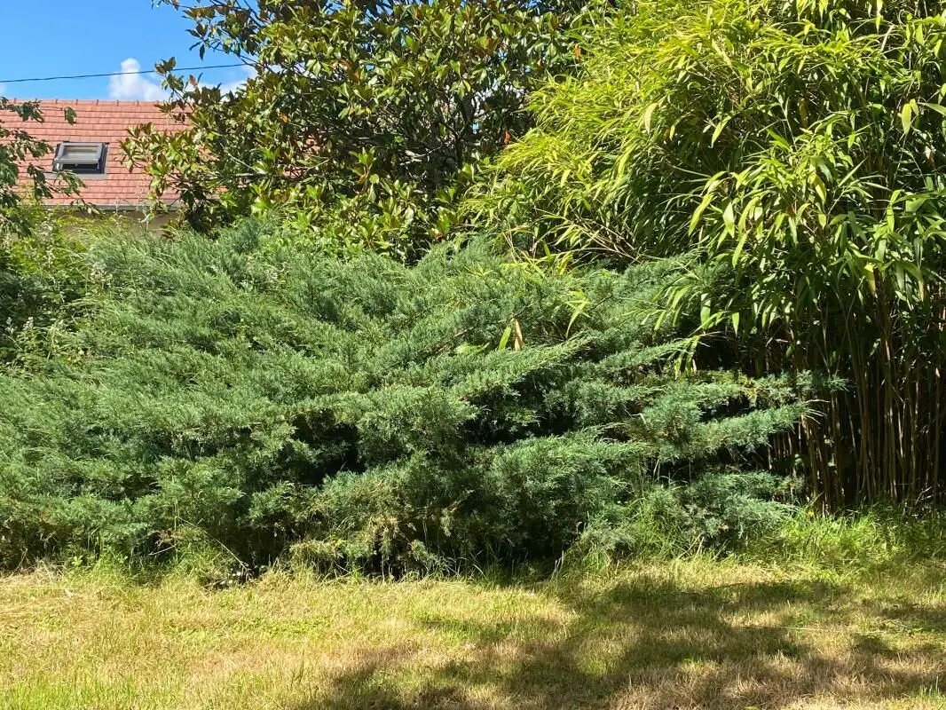 Maison à vendre, 80m², Toury-Lurcy