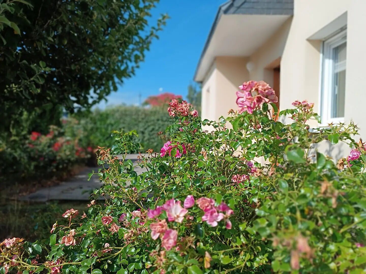 Maison à vendre, 102m², Saint-Avé