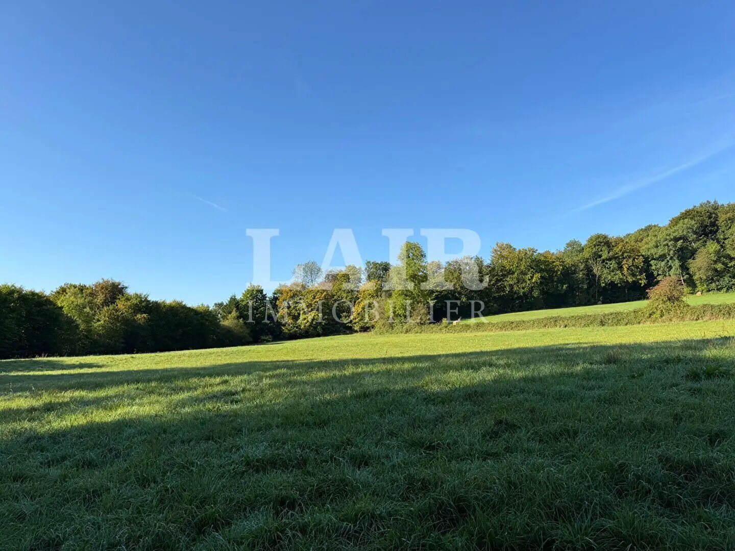 Maison à vendre, 226m², Moulins-la-Marche