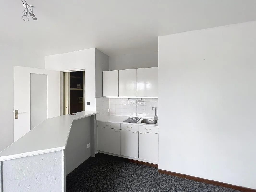 Appartement à louer, 27m², Nancy