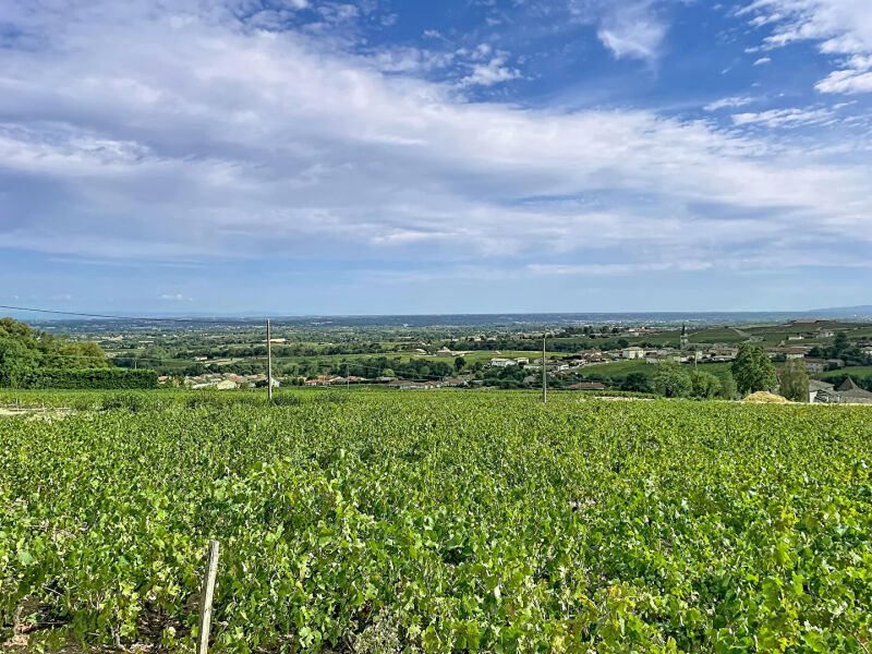 Maison à vendre, 98m², Chénas
