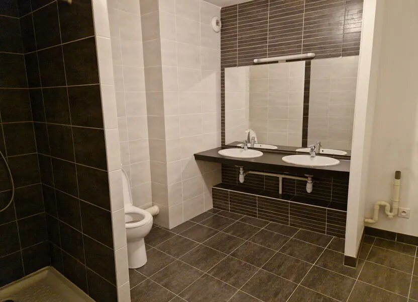 Appartement à louer, 47m², Villeurbanne