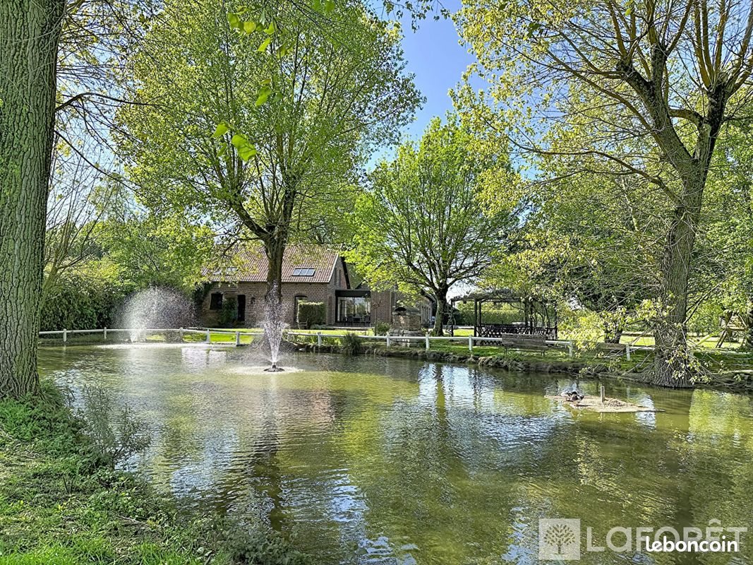 Maison à vendre, 319m², Bailleul