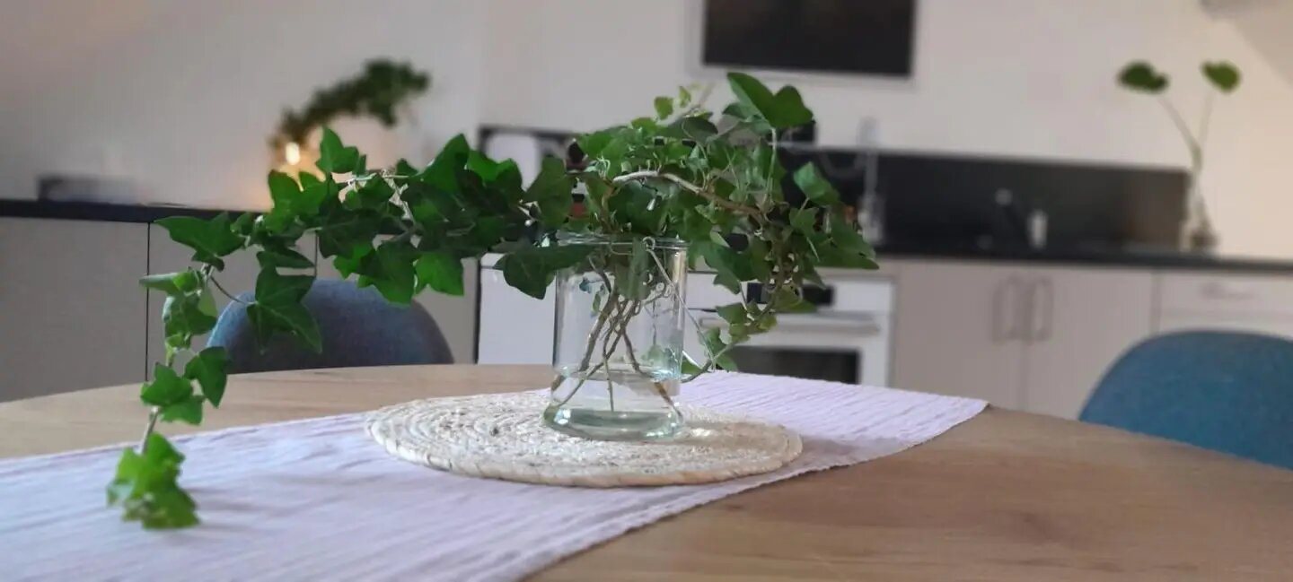 Appartement à louer, 20m², Orléans