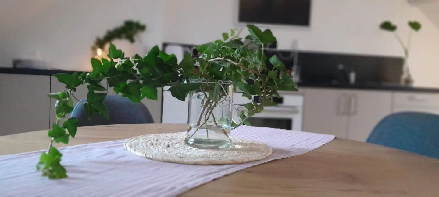 Appartement à louer, 20m², Orléans