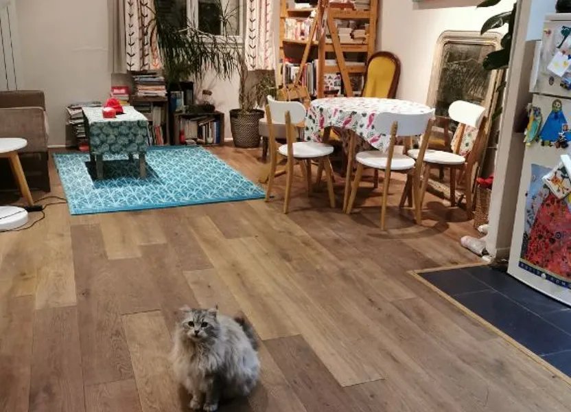 Appartement à louer, 55m², Paris 19ème