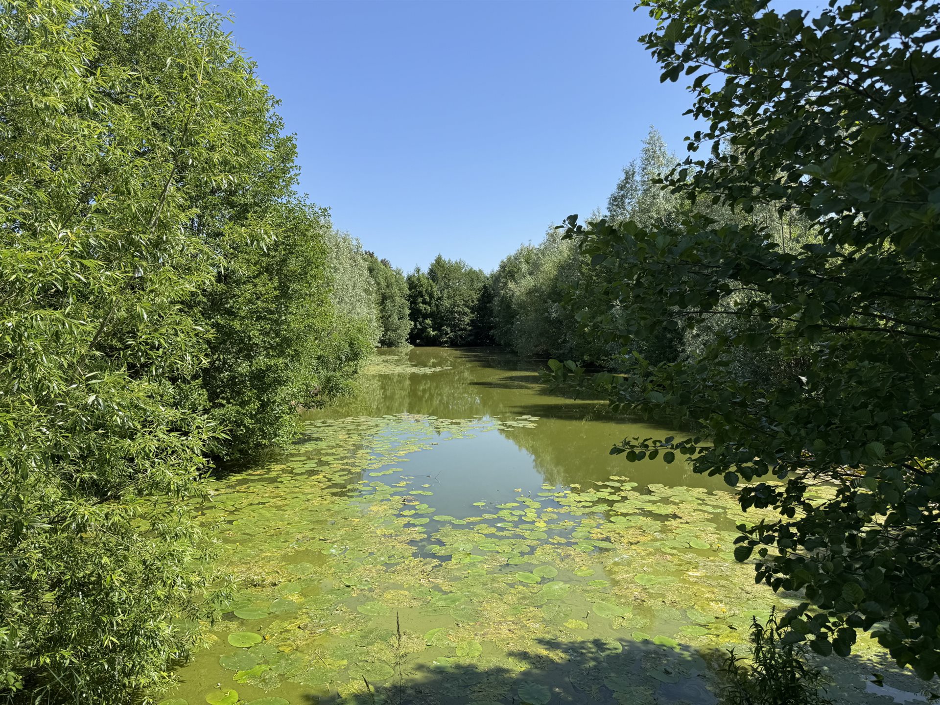 Maison à vendre, 88m², Magny-Vernois