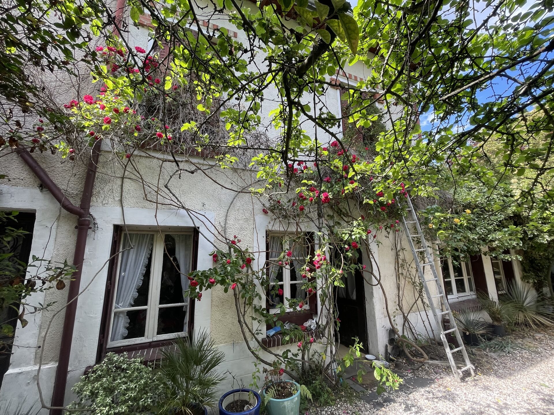 Maison à vendre, 140m², Chatou