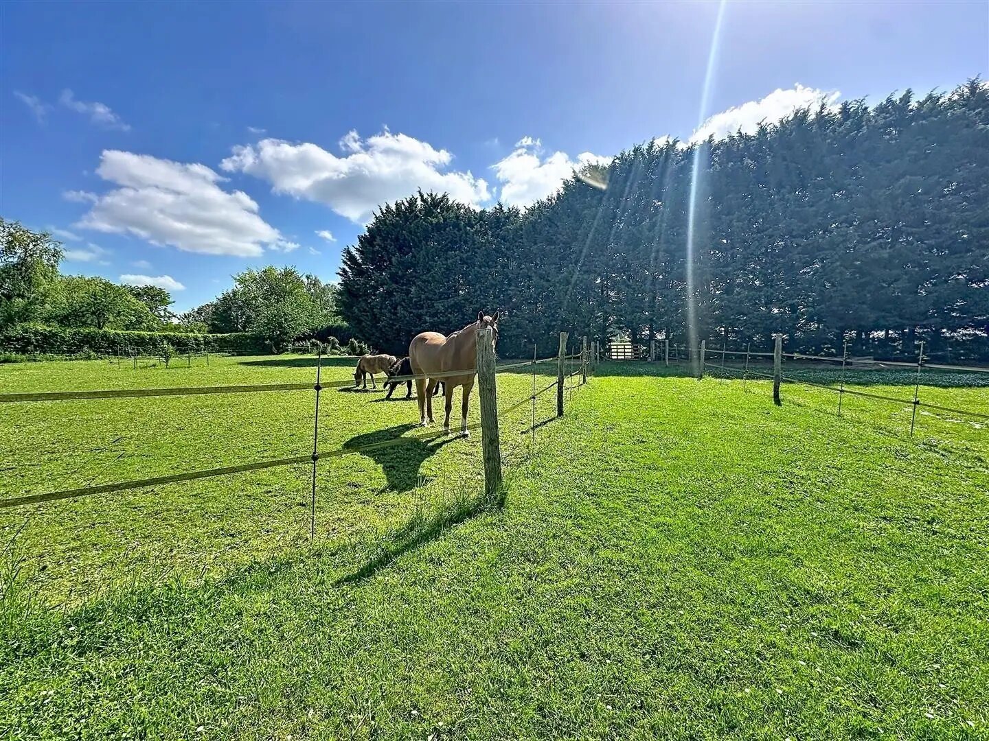 Maison à vendre, 400m², Rambouillet
