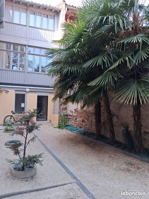 Appartement à louer, 21m², Montauban