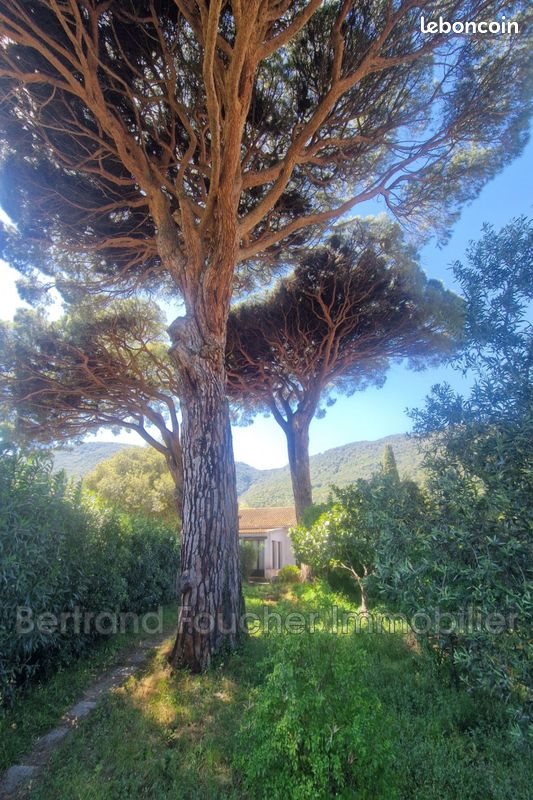 Maison à vendre, 99m², Cavalaire-sur-Mer