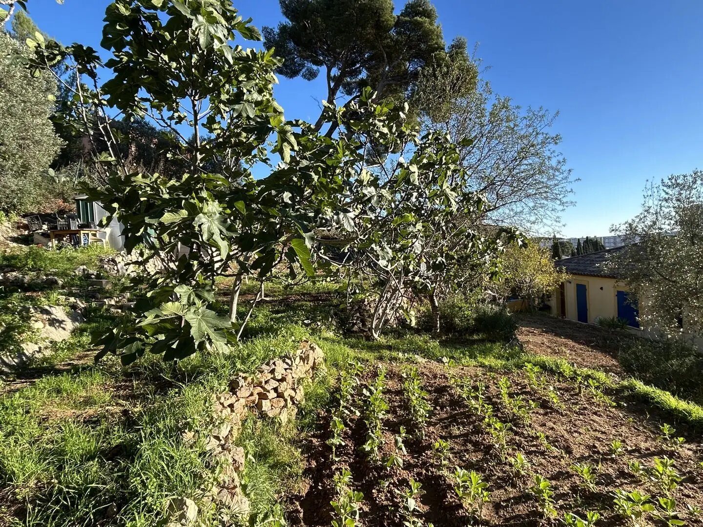 Maison à vendre, 260m², Toulon