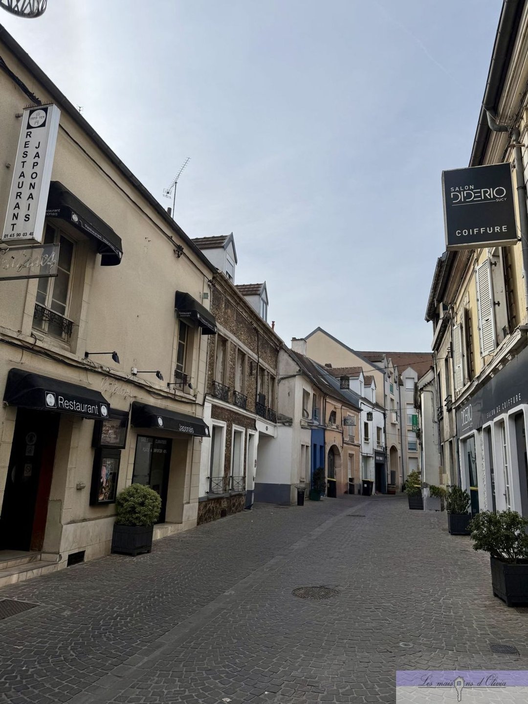 Maison à vendre, 300m², Sucy-en-Brie