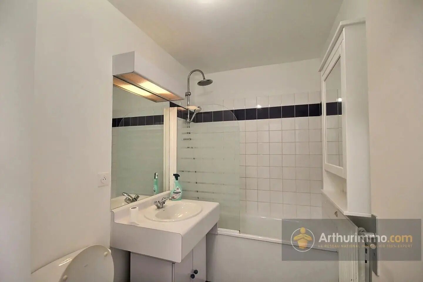 Appartement à louer, 33m², Maisons-Alfort