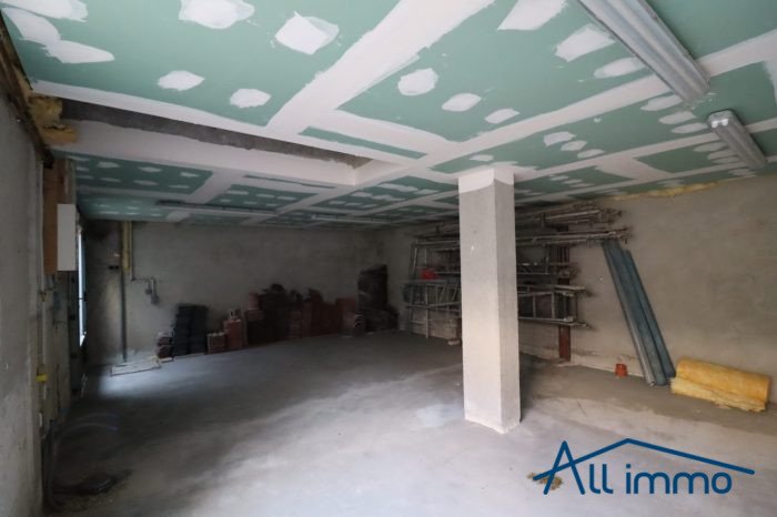 Maison à vendre, 270m², Saint-Maur-des-Fossés
