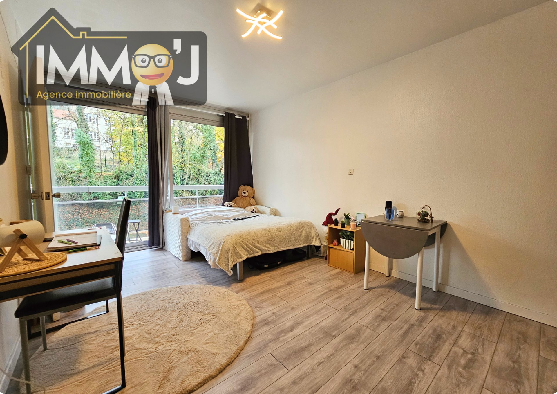 Appartement à vendre, 25m², Nancy
