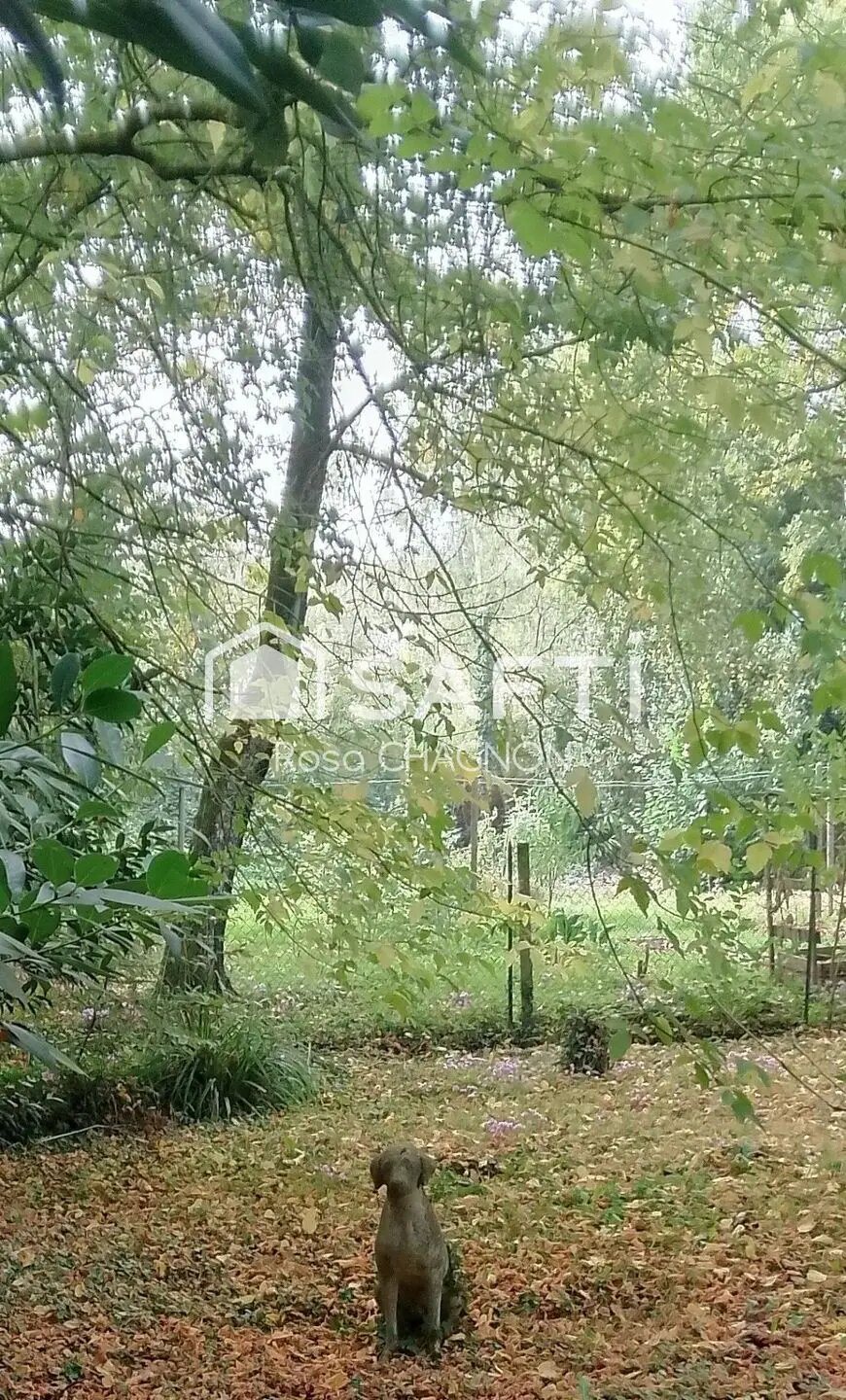 Maison à vendre, 270m², L'Absie