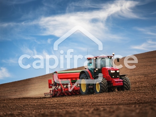 Advert pic 0