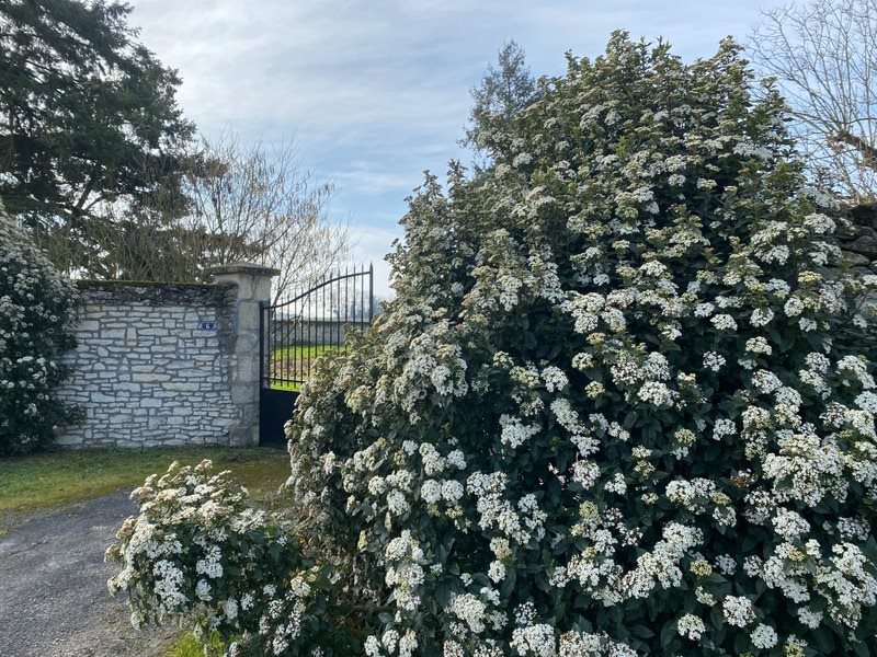 Maison à vendre, 80m², Ligré